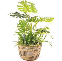 Korb mit künstlichen Zimmerpflanzen