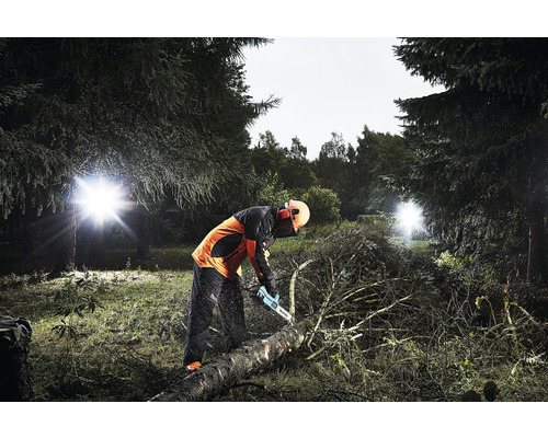 Forstarbeiter sägt Baumstamm mit Kettensäge im Wald