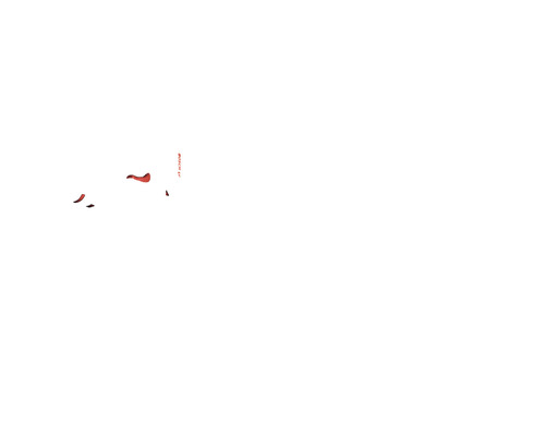 Bosch Logo
