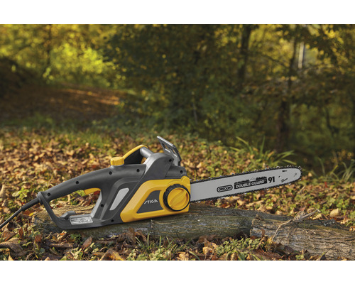 Elektrische Kettensäge für den Baumschnitt im Garten