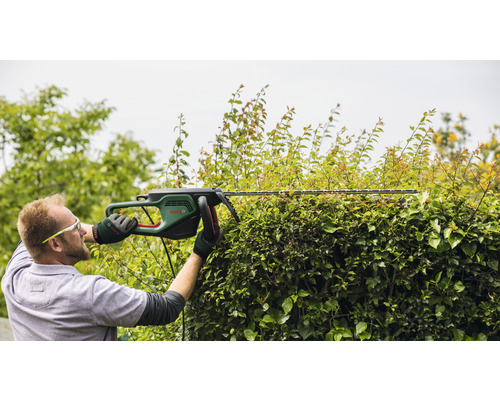 Eine Person schneidet eine Hecke mit einer Heckenschere von Bosch.