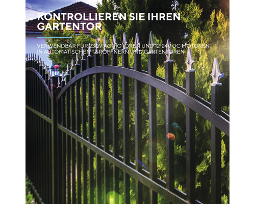 Schwarzes Gartentor aus Metall mit dekorativen Spitzen
