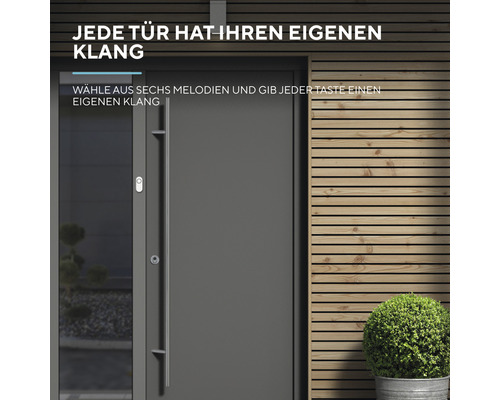 Ansicht einer Haustür mit Türgriff und einer Pflanze im Topf