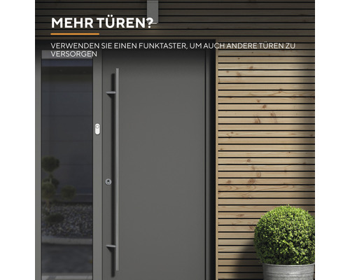 Moderne Haustür mit Seitenteil und Türgriff vor Holzwand und Pflanze im Topf.