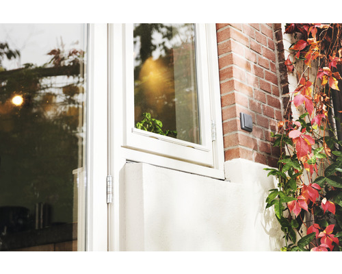 Außenansicht eines Hauses mit Fenster, Mauerwerk und Pflanzen