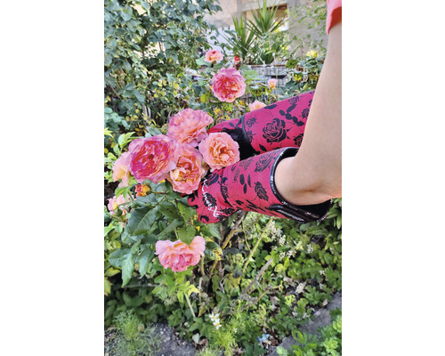 Gartenarbeit mit Rosenhandschuhen