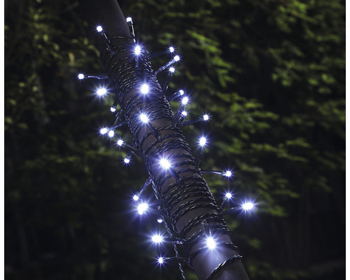 Lichterkette mit LED Lichtern um einen Baum gewickelt
