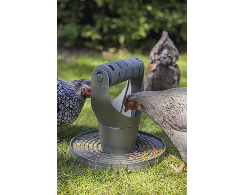 Hühner fressen aus einem Futterspender im Garten.