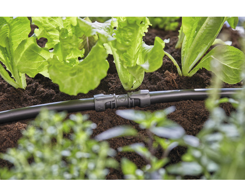 Garten-Bewässerungsschlauch Aus PVC – Flexibel & Langlebig, 20 M Länge