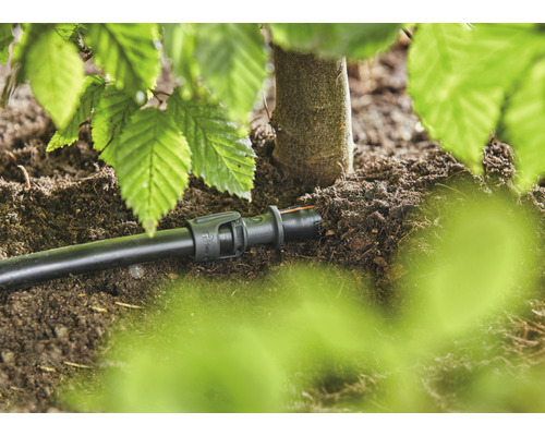 Bewässerungssystem mit Verbindungselement für Tropfschlauch unter einem Baum