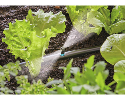 Bewässerungssystem im Einsatz zwischen Salatpflanzen im Gartenbeet.