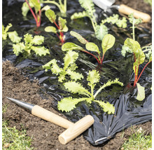 Garten mit Unkrautfolie und jungen Pflanzen sowie Pflanzwerkzeug