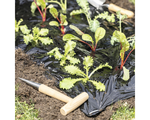 Garten mit Unkrautfolie und jungen Pflanzen sowie Pflanzwerkzeug