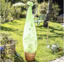 Öko-Tomaten-Folienschlauch Windhager 5 x 0,75 m