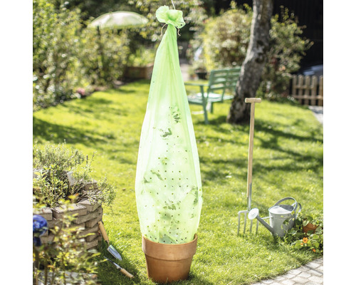 Pflanzgefäß mit Schädlingsschutznetz im Garten.