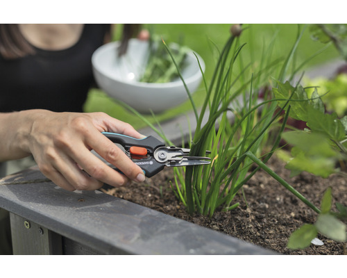 Frau erntet Schnittlauch mit einer Kräuterschere im Garten.