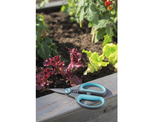 Gardena Ernteschere auf Holzhintergrund mit Salat und Tomaten im Beet
