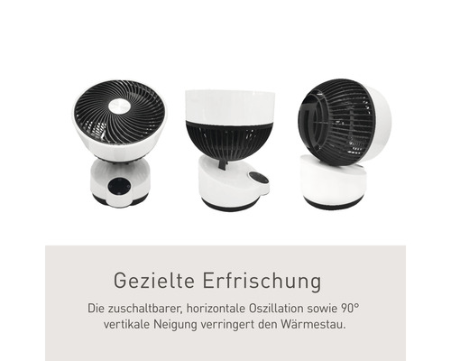 Tischventilator mit horizontaler Oszillation und vertikaler Neigung in verschiedenen Ansichten