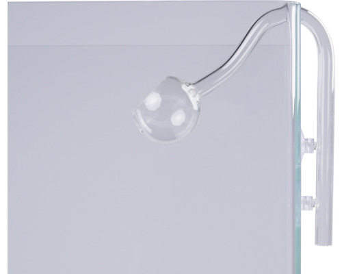 Aquarium CO2 Diffusor aus Glas
