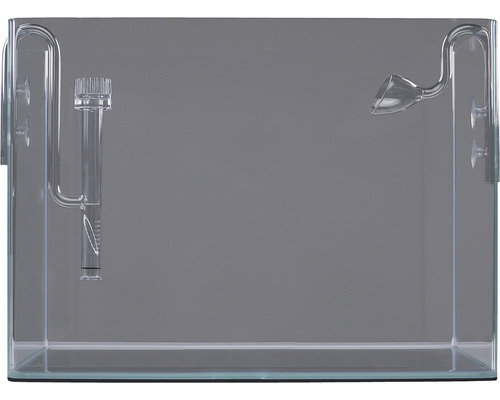 Aquarium mit Glaswaren für die Aquariendekoration