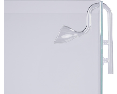 Aquarium mit Glas Diffusor zur CO2-Versorgung
