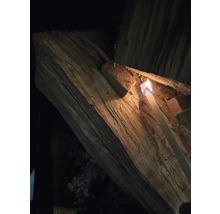 Ein Feuerzeug entzündet Holz.