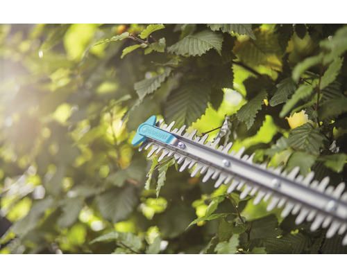 Heckenschere beim Schneiden einer Hecke