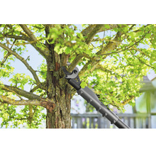 Akku Baumschere GARDENA HighCut 110/18V P4A ohne Akku und Ladegerät, Schnitthöhe bis 2,5m-thumb-5 Akku Baumschere GARDENA HighCut 110/18V P4A ohne Akku und Ladegerät, Schnitthöhe bis 2,5m-thumb-5