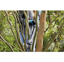 Akku Baumschere GARDENA HighCut 110/18V P4A ohne Akku und Ladegerät, Schnitthöhe bis 2,5m-thumb-8 Akku Baumschere GARDENA HighCut 110/18V P4A ohne Akku und Ladegerät, Schnitthöhe bis 2,5m-thumb-8