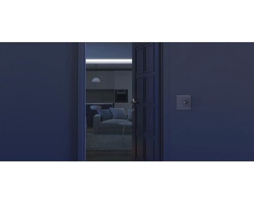 Blick durch eine offene Tür in ein modern eingerichtetes Wohnzimmer mit Sofa und Küchenbereich.