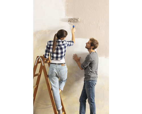 Ein Paar renoviert ein Zimmer mit Farbroller und Leiter.