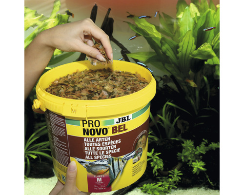 JBL Pro Novo Bel Flockenfutter für alle Zierfischarten im Eimer