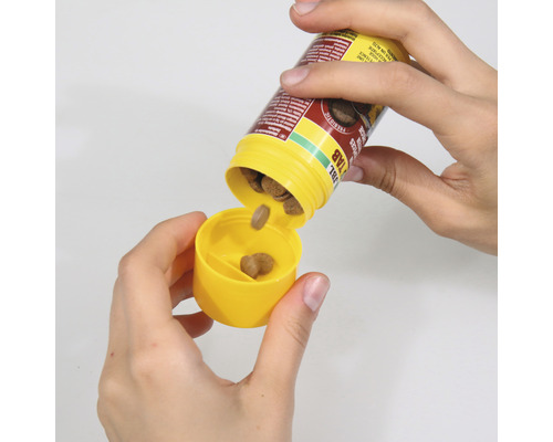 Eine Person schüttet Fischfuttertabletten aus einer gelben Dose.