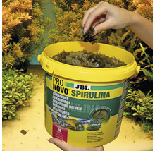 JBL Pro Novo Spirulina Fischfutter Dose mit Spirulina Flocken