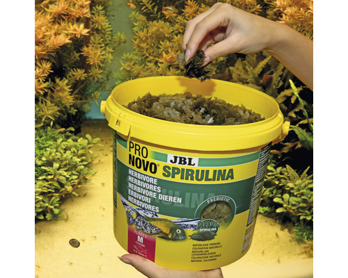 JBL Pro Novo Spirulina Fischfutter Dose mit Spirulina Flocken