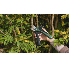 Akku Gartenschere BOSCH EasyPrune inkl. Ladekabel-thumb-1 Akku Gartenschere BOSCH EasyPrune inkl. Ladekabel-thumb-1