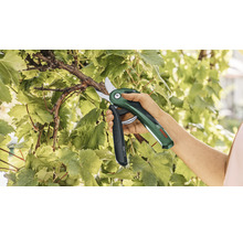 Akku Gartenschere BOSCH EasyPrune inkl. Ladekabel-thumb-5 Akku Gartenschere BOSCH EasyPrune inkl. Ladekabel-thumb-5
