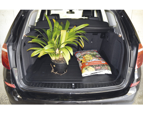 Ein Topf mit Pflanze und ein Sack Blumenerde im Kofferraum eines Autos.