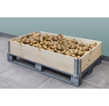 Holzkiste gefüllt mit Kartoffeln auf einer Palette