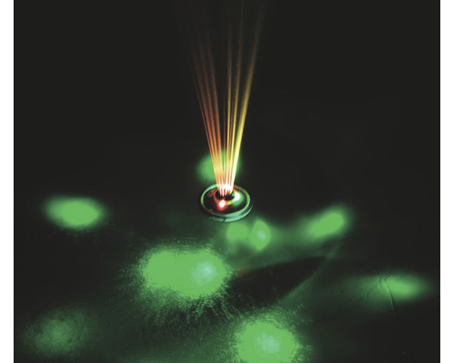 Dekorative Lichtprojektion mit Farbmustern