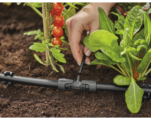 Tropfbewässerungssystem im Einsatz zur Bewässerung von Pflanzen im Garten.