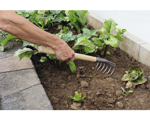 Eine Person verwendet einen Kultivator im Gartenbeet.