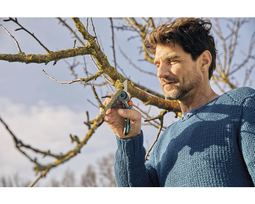 Ein Mann schneidet mit einer Gartenschere einen Ast.