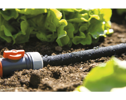 Tropfschlauch zur Gartenbewässerung im Beet mit Salat