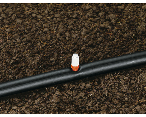 Tropfrohr mit Tropfer zur Bewässerung im Garten