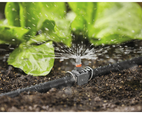 Bewässerungssystem im Garten mit Sprinkler und Pflanzen