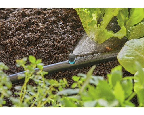 Bewässerungssystem mit Tropfschlauch im Garten