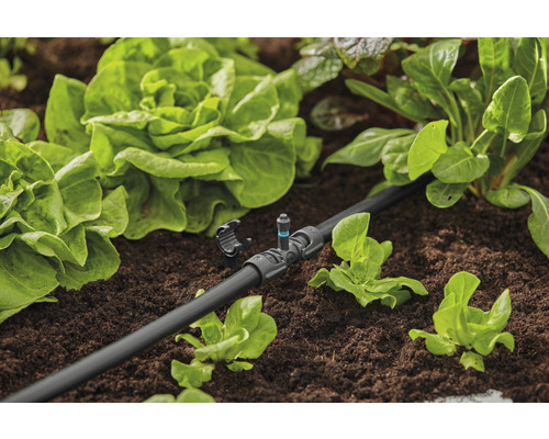 Bewässerungssystem im Gartenbeet mit Salatpflanzen