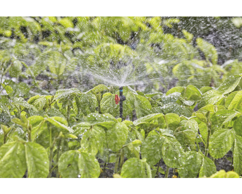 Bewässerungssystem mit Sprinkler im Einsatz zur Gartenbewässerung