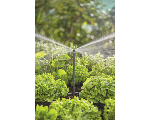 Gartenbewässerungssystem mit Regner im Einsatz zwischen Salatpflanzen.